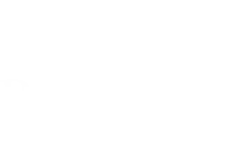 Logo Footer